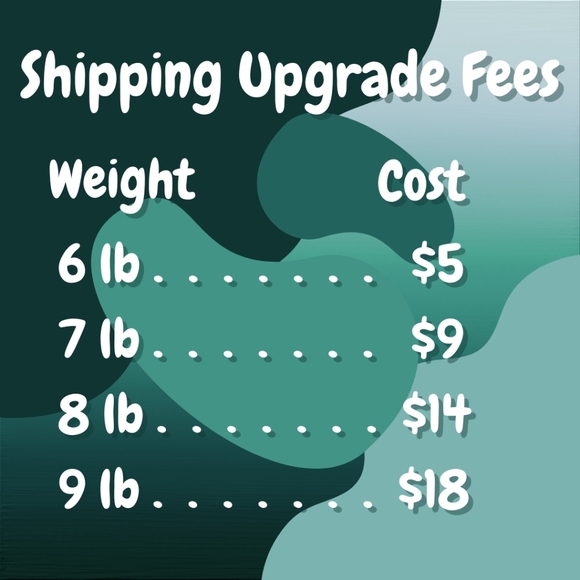 Show Policies - Picture 3 of 3